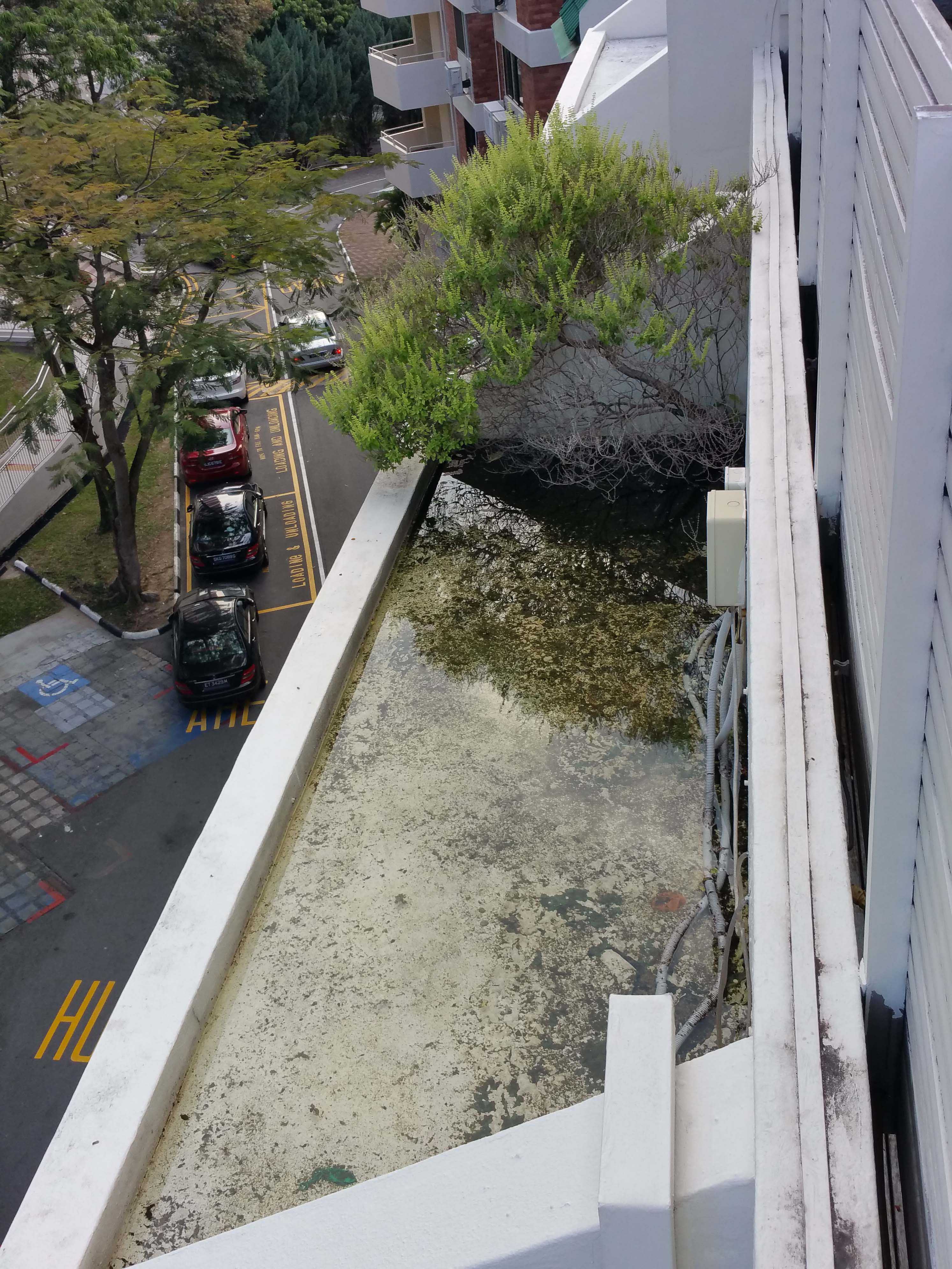 32. aircon ledge leak to external wall. plant roots tore up membrane..jpg